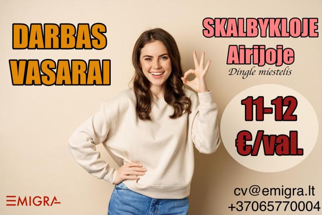Darbas skalbykloje Airijoje-0