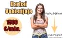 Darbas Vokietijoje-0