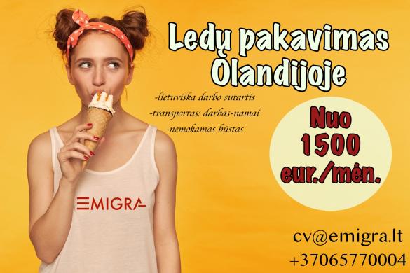 Darbas ledų fabrike pakavime-0