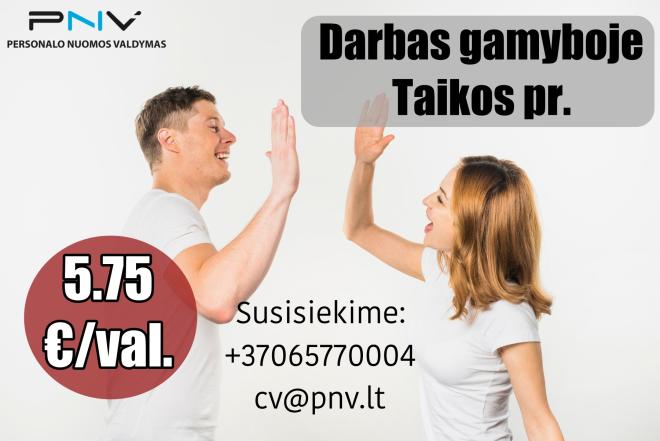 Darbas gamybos įmonėje Kaune-0