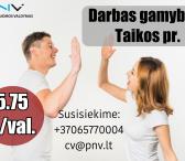 Darbas gamybos įmonėje Kaune-0