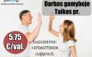 Darbas gamybos įmonėje Kaune-0