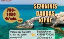 Sezoninis darbas Kipre-0