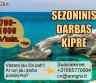Sezoninis darbas Kipre-0
