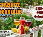 Padavėjai(-os) Ispanijoje-0