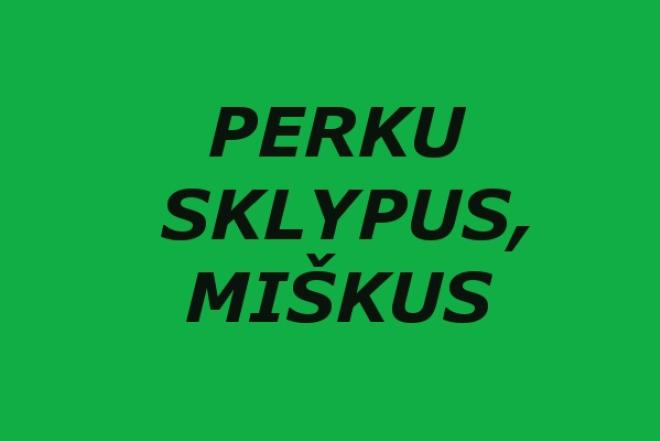 Perku sklypus, miškus-0
