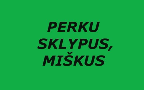 Perku sklypus, miškus-0