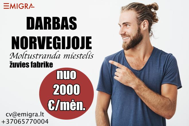 Darbas Norvegijoje-0