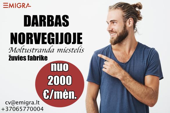 Darbas Norvegijoje-0