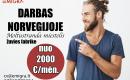 Darbas Norvegijoje-0