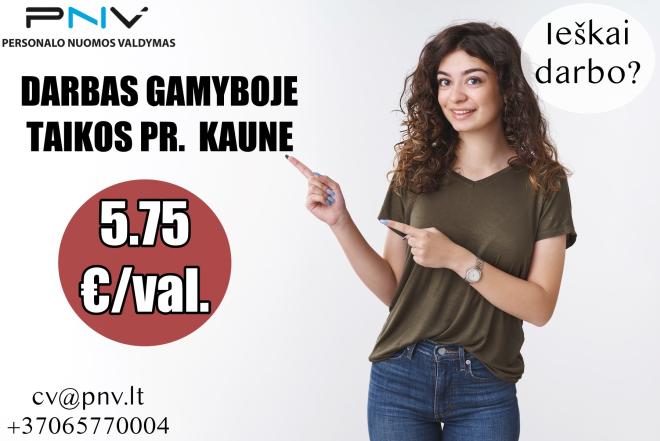 Darbas gamyboje Kaune-0