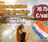 Darbas logistikos sandėlyje Olandijoje (Heijen)-0