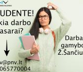 Darbas gamyboje studentams Kaune-0