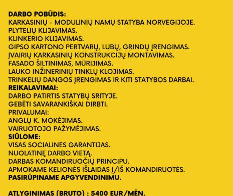 PLATAUS PROFILIO STATYBININKAS-0