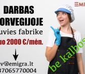 Darbas žuvies fabrike Norvegijoje-0