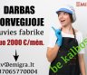 Darbas žuvies fabrike Norvegijoje-0