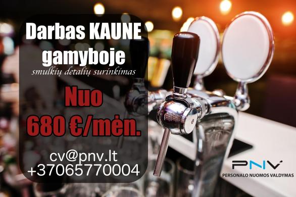 Smulkių detalių surinkimas Kaunas-0
