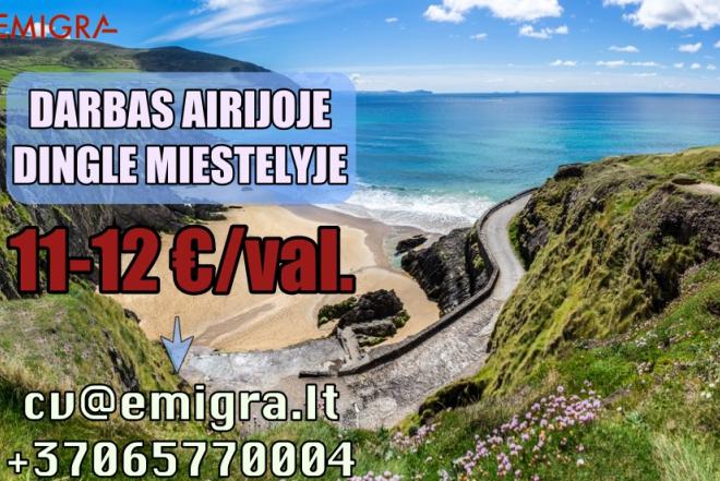 Darbas skalbykloje Airijoje-0