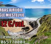 Darbas skalbykloje Airijoje-0