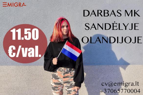 Darbas MK sandėlyje Olandijoje-0