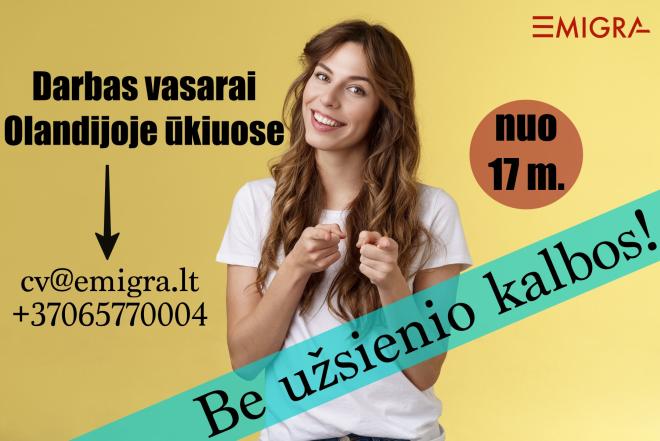 Darbas ūkiuose Olandijoje (priima nuo 17 metų)-0