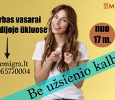 Darbas ūkiuose Olandijoje (priima nuo 17 metų)-0
