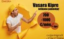 Darbas padavėjams Kipre-0