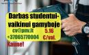 Darbas gamyboje STUDENTUI Ž.Šančiuose (8:00-17:00)-0