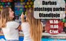 Darbas atostogų parke Olandijoje-0