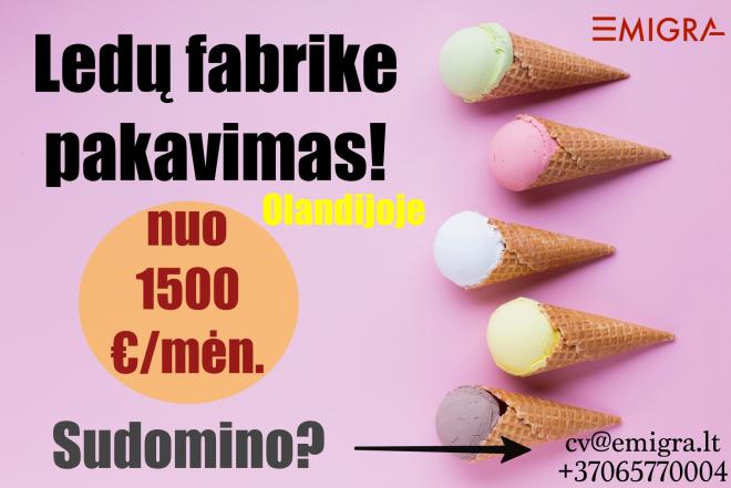 Darbas ledų fabrike (Olandija)-0