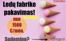 Darbas ledų fabrike (Olandija)-0