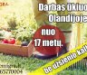 Darbo pasiūlymas Olandijoje ūkiuose-0