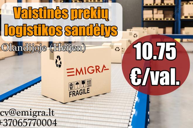 Darbas vaistų sandėlyje Olandijoje-0