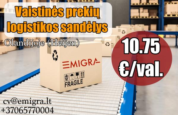 Darbas vaistų sandėlyje Olandijoje-0