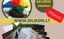 Geležies oksidas-0