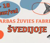Darbas Žuvies (arba mėsos) Fabrike Švedijoje!-0