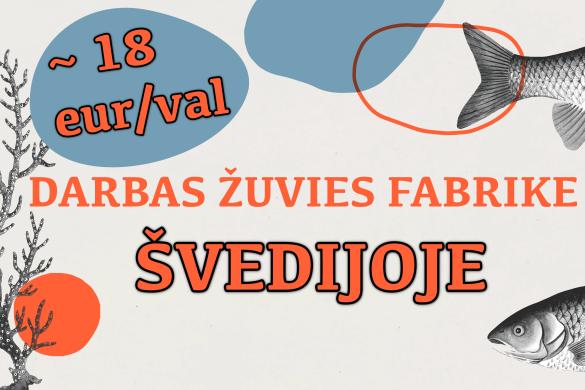 Darbas Žuvies (arba mėsos) Fabrike Švedijoje!-0