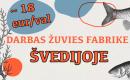 Darbas Žuvies (arba mėsos) Fabrike Švedijoje!-0
