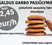 Pakavimo darbai sausainių fabrike Olandijoje-0