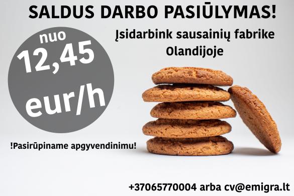 Pakavimo darbai sausainių fabrike Olandijoje-0