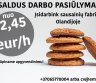 Pakavimo darbai sausainių fabrike Olandijoje-0