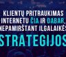 Internetinės reklamos paslaugos Jūsų veiklai / verslui.-0