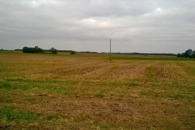 Parduodu 2,5 hektarų žemės ūkio paskirties sklypą Kaišiadorių rajone.-0