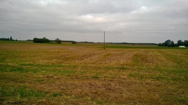 Parduodu 2,5 hektarų žemės ūkio paskirties sklypą Kaišiadorių rajone.-0