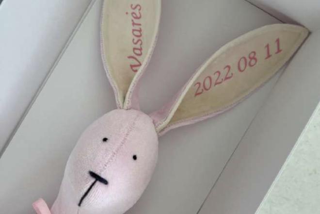 Vardinis personalizuotas pliušinis zuikis-0