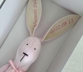 Vardinis personalizuotas pliušinis zuikis-0