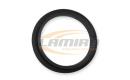 MAN TGA / TGX / TGS / TGL / L2000 PRESSURE RING-0