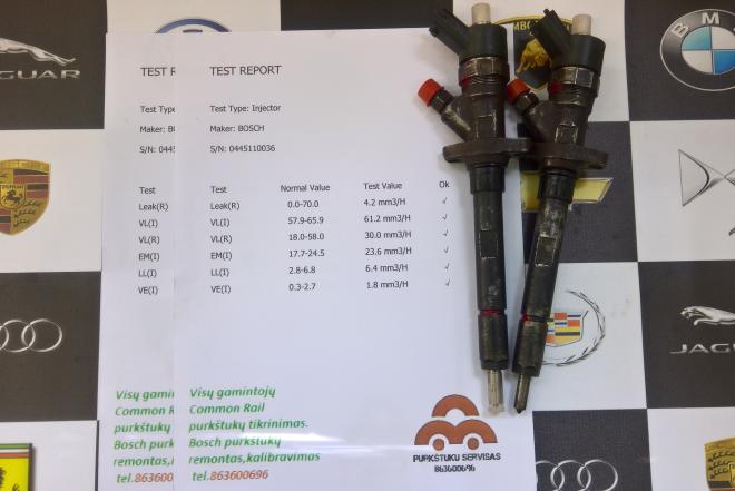 Kuro purkštukai Lancia-Phedra. 0445110036-0