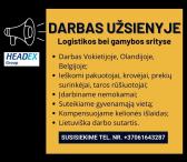 DARBAS UŽSIENYJE-0
