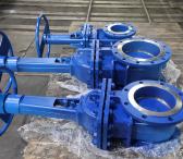 Gate valve 30нж42нж Dn 250 Pn 10-0